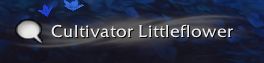 Soft Interact HUD